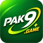 PAK9 Game original screenshot