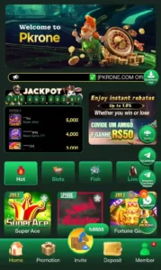 Pkr one game download free for android and iOS