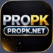 PROPK Game download free for android and iOS in Pakistan